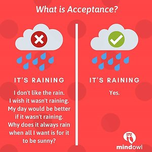 About. Acceptance 